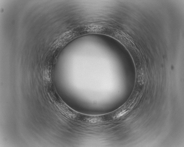 X0000059240755200510171431