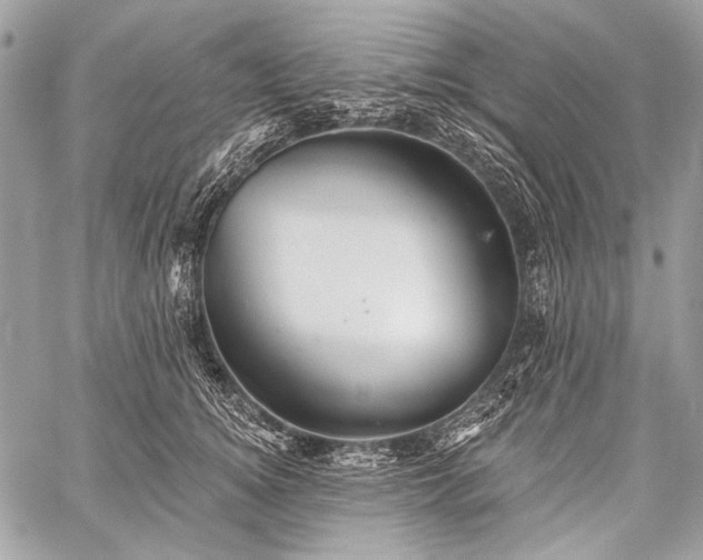 X0000059240756200510171431