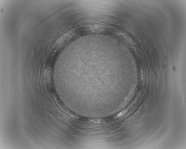 X0000059240757200510171431