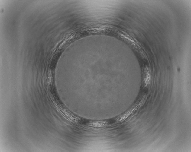 X0000059240758200510171431