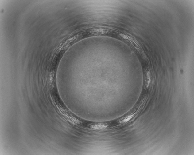 X0000059240759200510171431