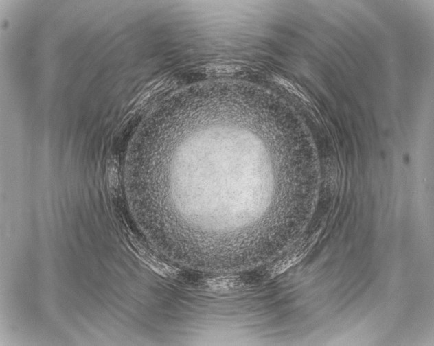 X0000059240761200510171431