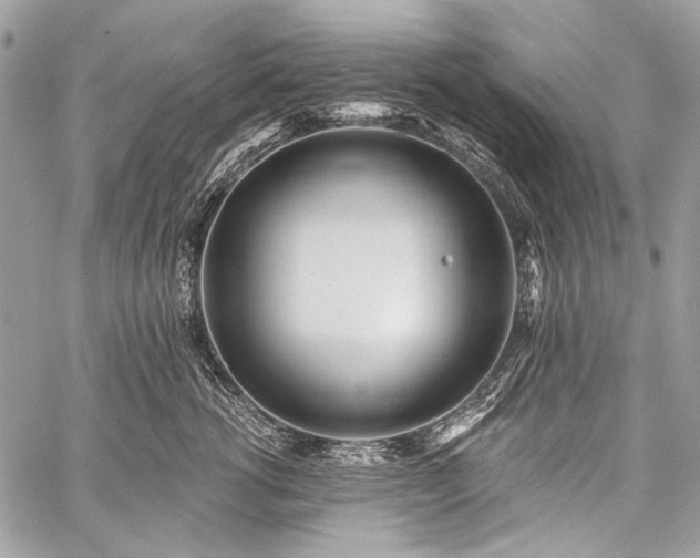 X0000059240762200510171431