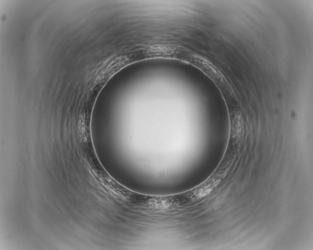 X0000059240764200510171431