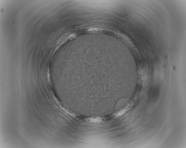 X0000059240765200510171431