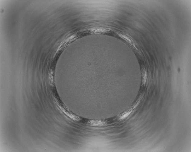 X0000059240766200510171431