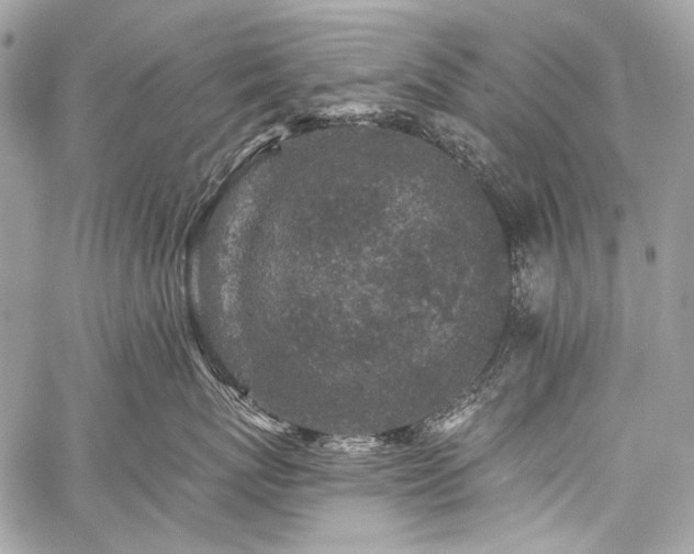 X0000059240767200510171431