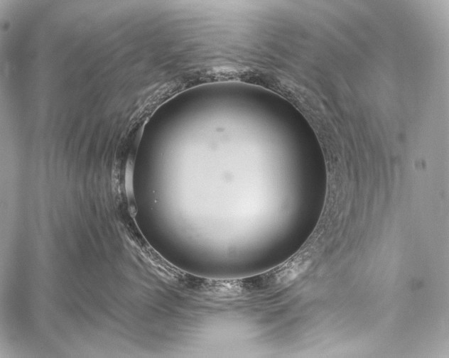 X0000059240768200510171431