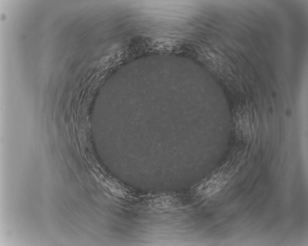 X0000059240769200510171430