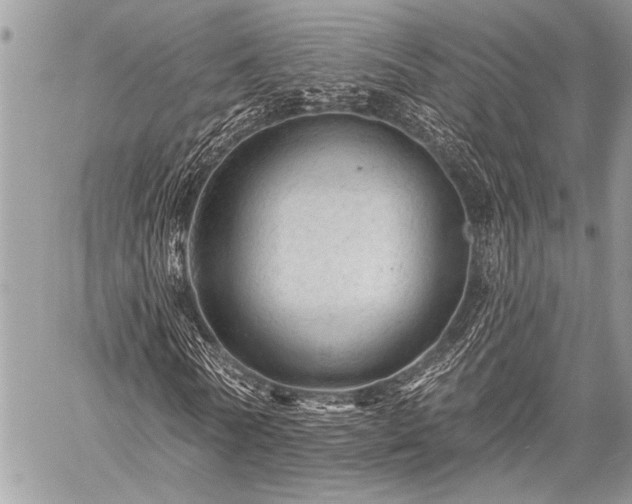 X0000059240770200510171430