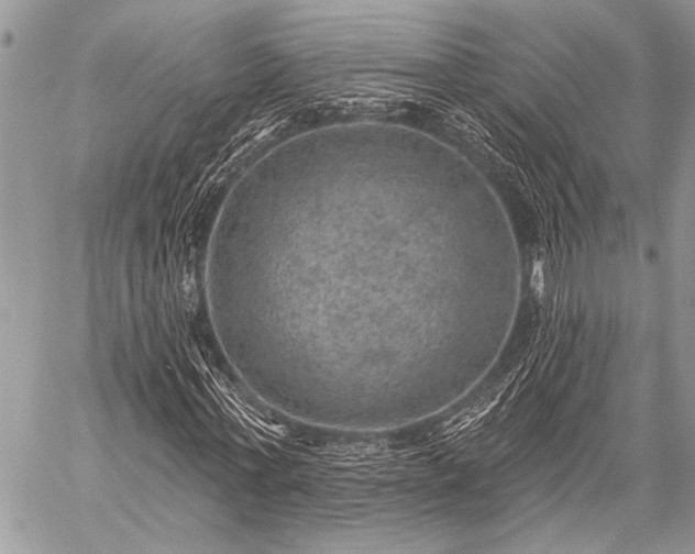 X0000059240771200510171430