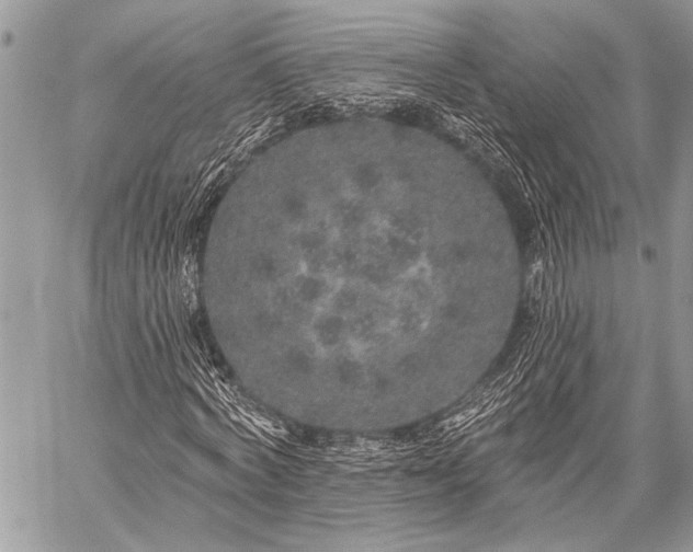 X0000059240772200510171430