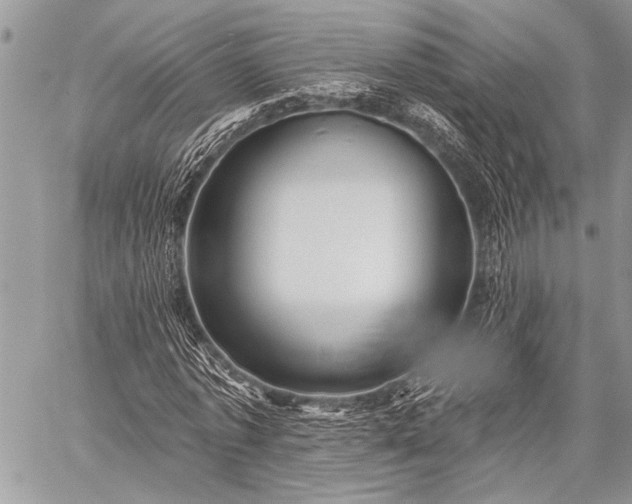 X0000059240773200510171430