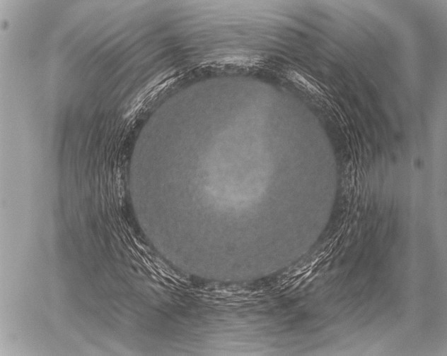 X0000059240774200510171430