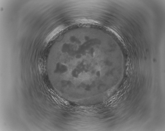 X0000059240775200510171430