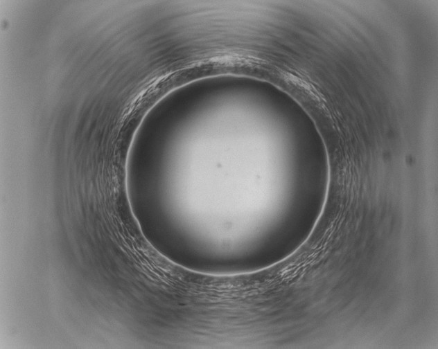 X0000059240776200510171430