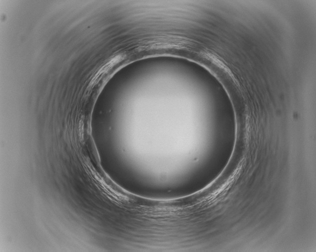 X0000059240777200510171430