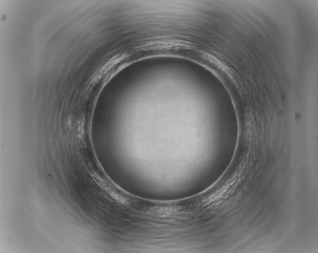 X0000059240778200510171430