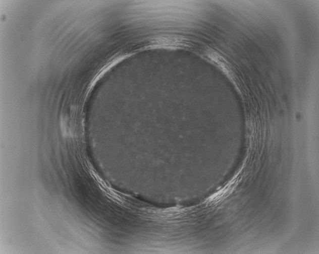 X0000059240779200510171430