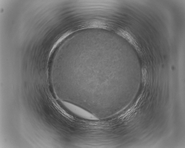 X0000059240780200510171430