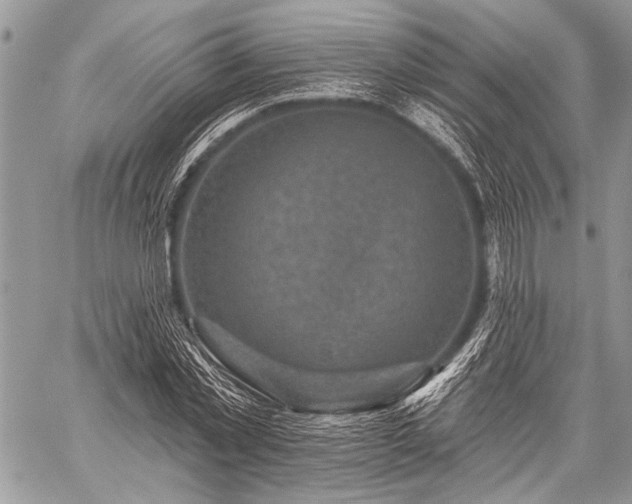 X0000059240781200510171430