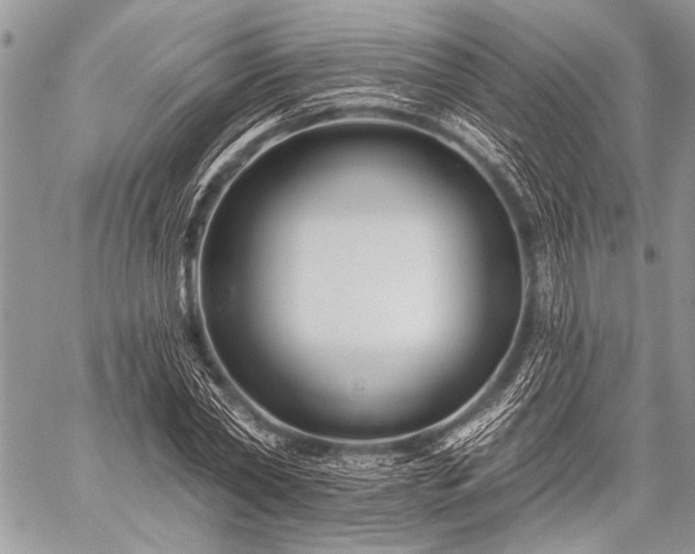 X0000059240782200510171430