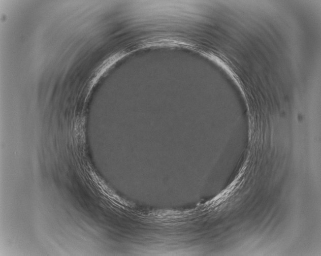 X0000059240783200510171430