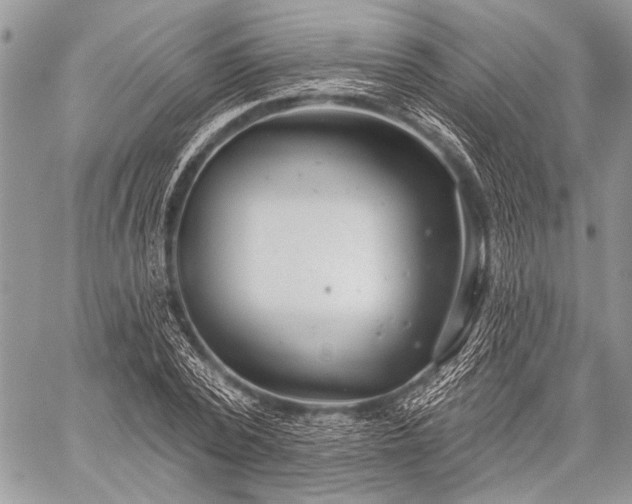 X0000059240784200510171430