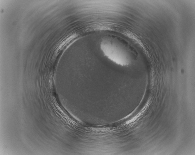 X0000059240785200510171430