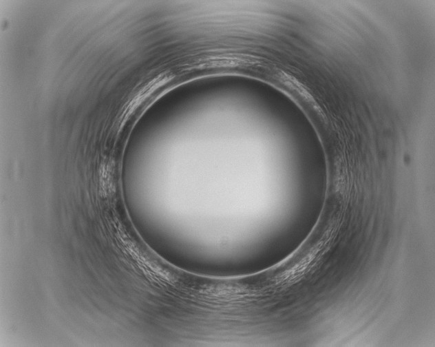 X0000059240786200510171430