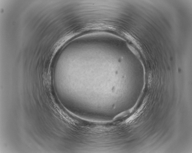 X0000059240787200510171430