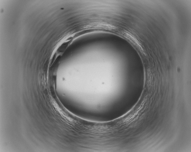 X0000059240788200510171430