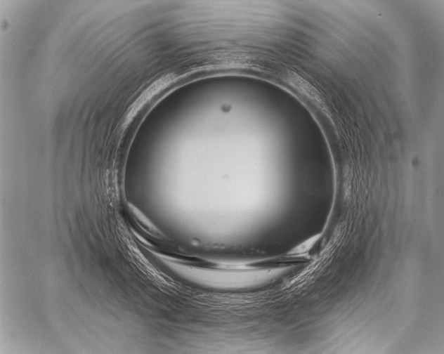 X0000059240789200510171430