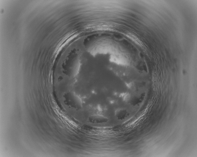 X0000059240790200510171430