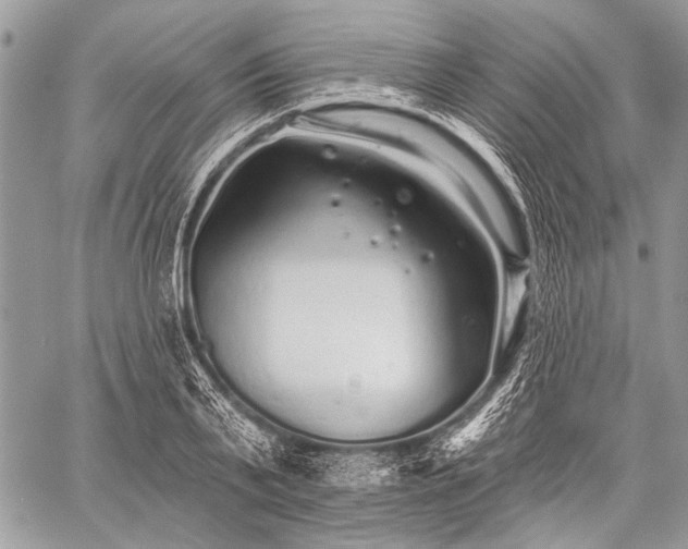 X0000059240791200510171430