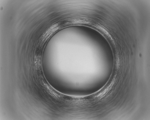 X0000059240793200510171430