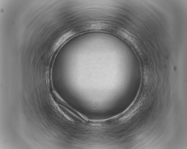 X0000059240794200510171430