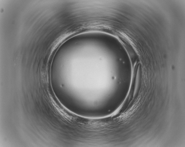 X0000059240795200510171430