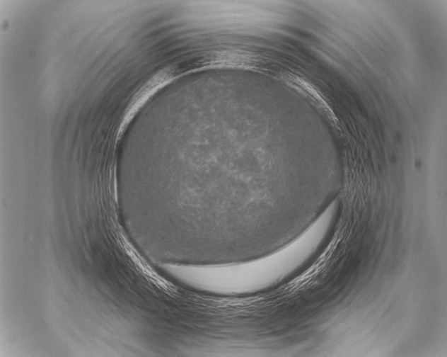 X0000059240796200510171430