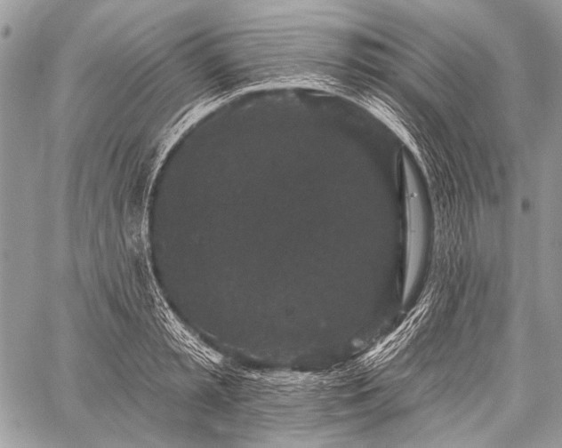 X0000059240797200510171430