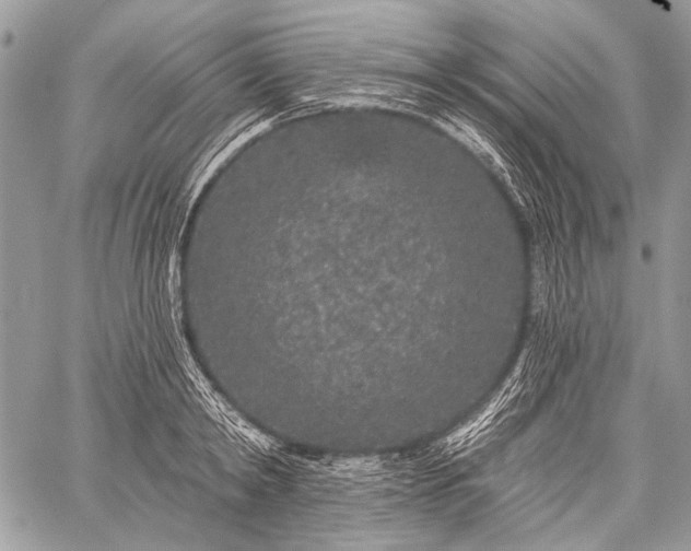 X0000059240798200510171430