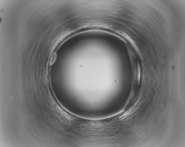 X0000059240799200510171430