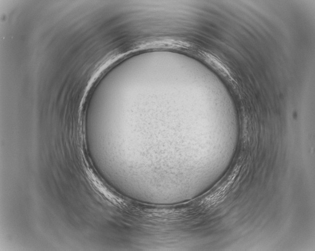 X0000059240800200510171430