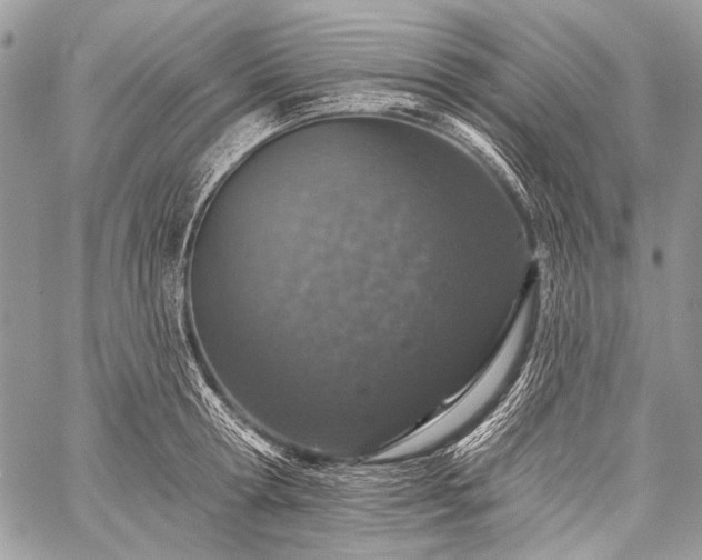 X0000059240802200510171430