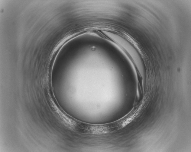 X0000059240803200510171430