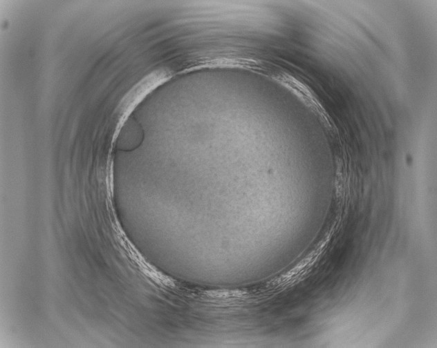 X0000059240804200510171430