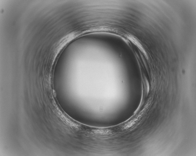 X0000059240805200510171430