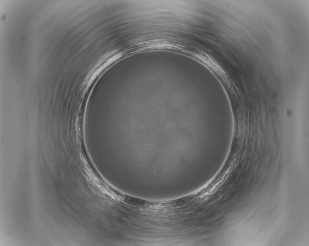 X0000059240806200510171430