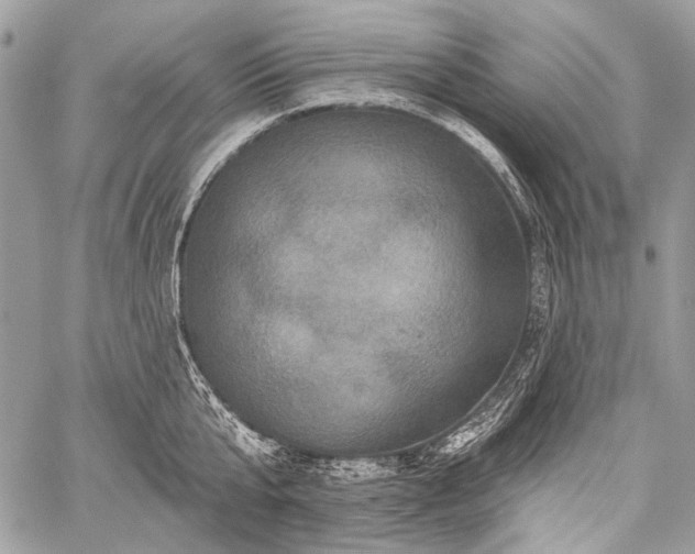 X0000059240807200510171430