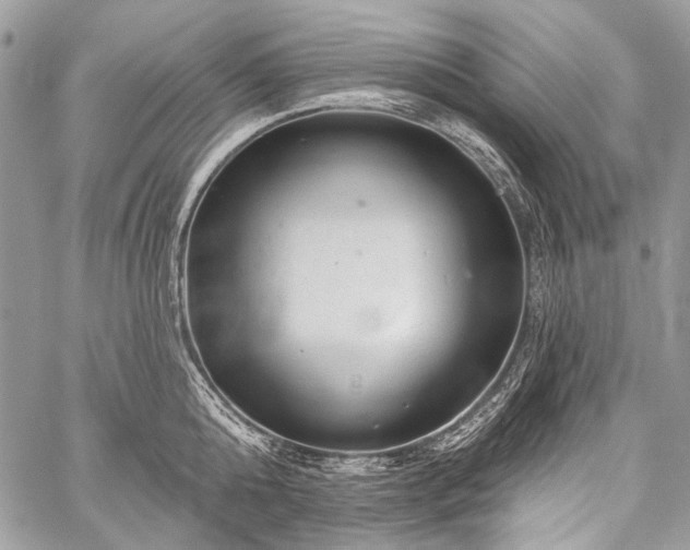 X0000059240808200510171430